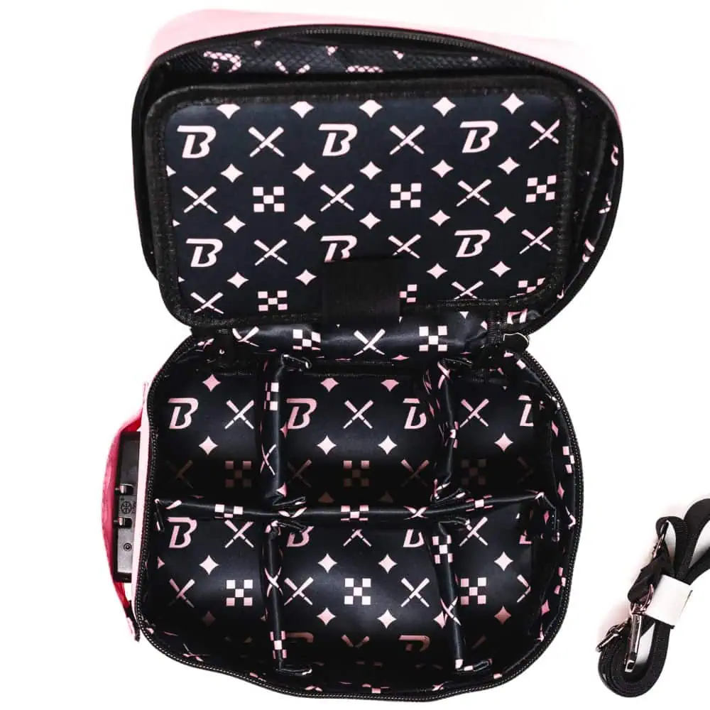 BLAZY SUSAN SMELL-PROOF STASH BAG